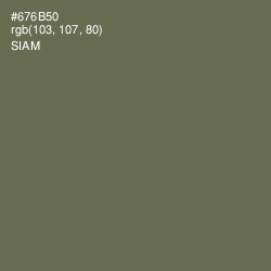 #676B50 - Siam Color Image