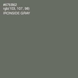 #676B62 - Ironside Gray Color Image