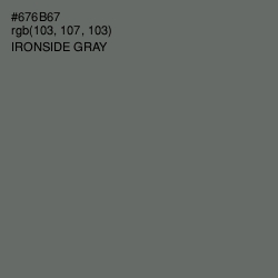 #676B67 - Ironside Gray Color Image