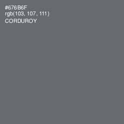 #676B6F - Corduroy Color Image