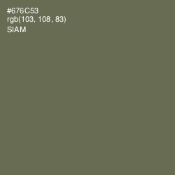 #676C53 - Siam Color Image