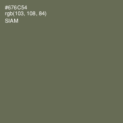 #676C54 - Siam Color Image