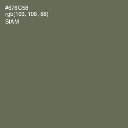 #676C58 - Siam Color Image