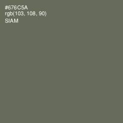#676C5A - Siam Color Image