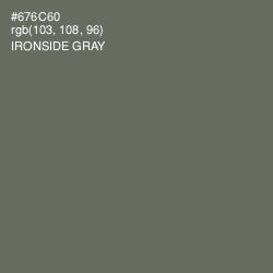 #676C60 - Ironside Gray Color Image