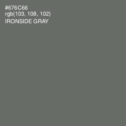 #676C66 - Ironside Gray Color Image