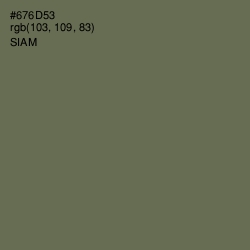 #676D53 - Siam Color Image