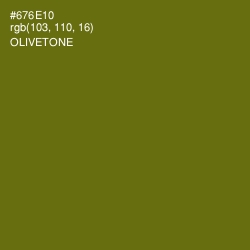 #676E10 - Olivetone Color Image