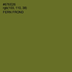 #676E26 - Fern Frond Color Image