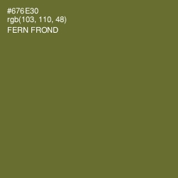#676E30 - Fern Frond Color Image