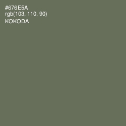 #676E5A - Kokoda Color Image