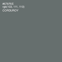 #676F6E - Corduroy Color Image