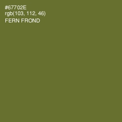 #67702E - Fern Frond Color Image