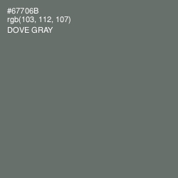 #67706B - Dove Gray Color Image