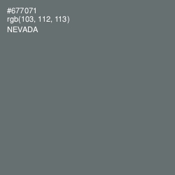 #677071 - Nevada Color Image
