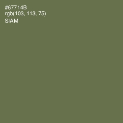 #67714B - Siam Color Image