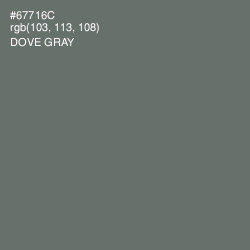 #67716C - Dove Gray Color Image