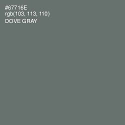 #67716E - Dove Gray Color Image
