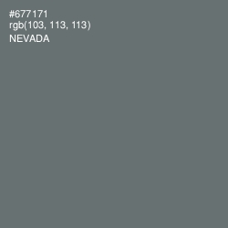 #677171 - Nevada Color Image