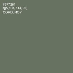 #677261 - Corduroy Color Image