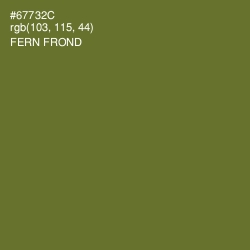 #67732C - Fern Frond Color Image