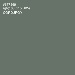 #677369 - Corduroy Color Image
