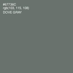 #67736C - Dove Gray Color Image