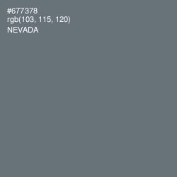 #677378 - Nevada Color Image