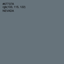 #67737A - Nevada Color Image