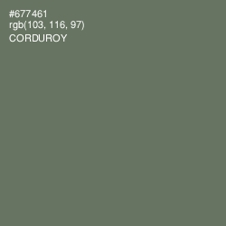 #677461 - Corduroy Color Image