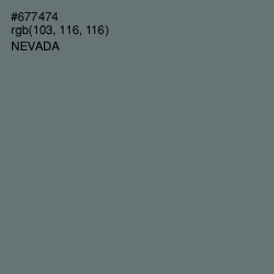 #677474 - Nevada Color Image