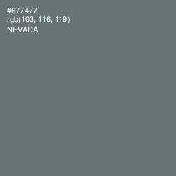 #677477 - Nevada Color Image