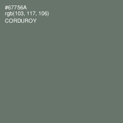 #67756A - Corduroy Color Image