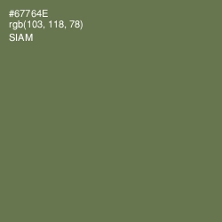 #67764E - Siam Color Image