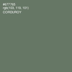 #677765 - Corduroy Color Image