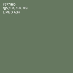 #677860 - Limed Ash Color Image