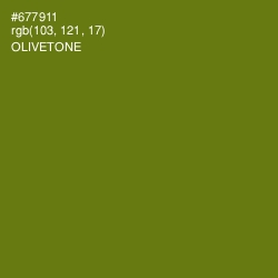 #677911 - Olivetone Color Image