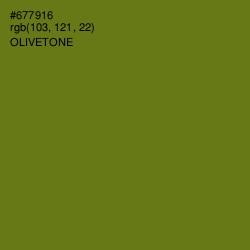 #677916 - Olivetone Color Image