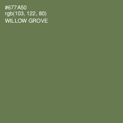 #677A50 - Willow Grove Color Image