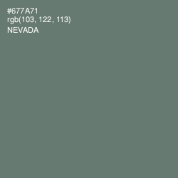 #677A71 - Nevada Color Image