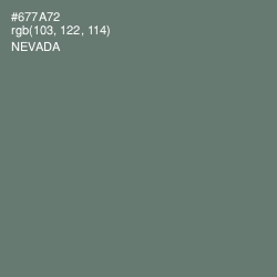 #677A72 - Nevada Color Image