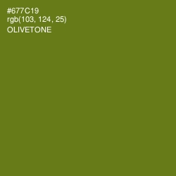 #677C19 - Olivetone Color Image