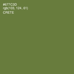 #677C3D - Crete Color Image