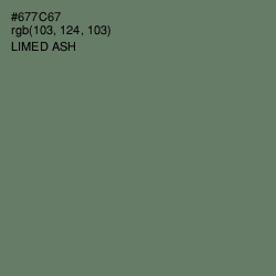 #677C67 - Limed Ash Color Image