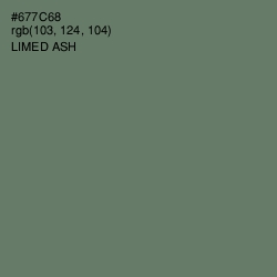 #677C68 - Limed Ash Color Image