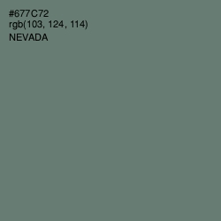#677C72 - Nevada Color Image