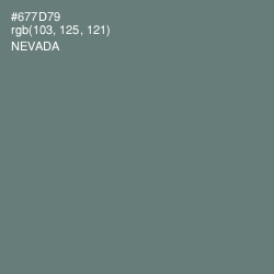 #677D79 - Nevada Color Image