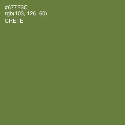 #677E3C - Crete Color Image