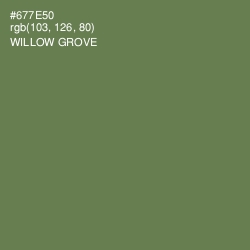 #677E50 - Willow Grove Color Image