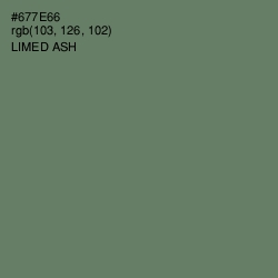 #677E66 - Limed Ash Color Image